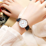 omniwatches 3365 Quartz Watch