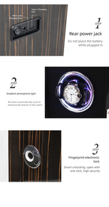 watches100 Watch Winder