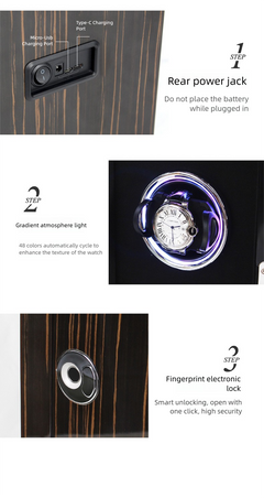 watches100 Watch Winder